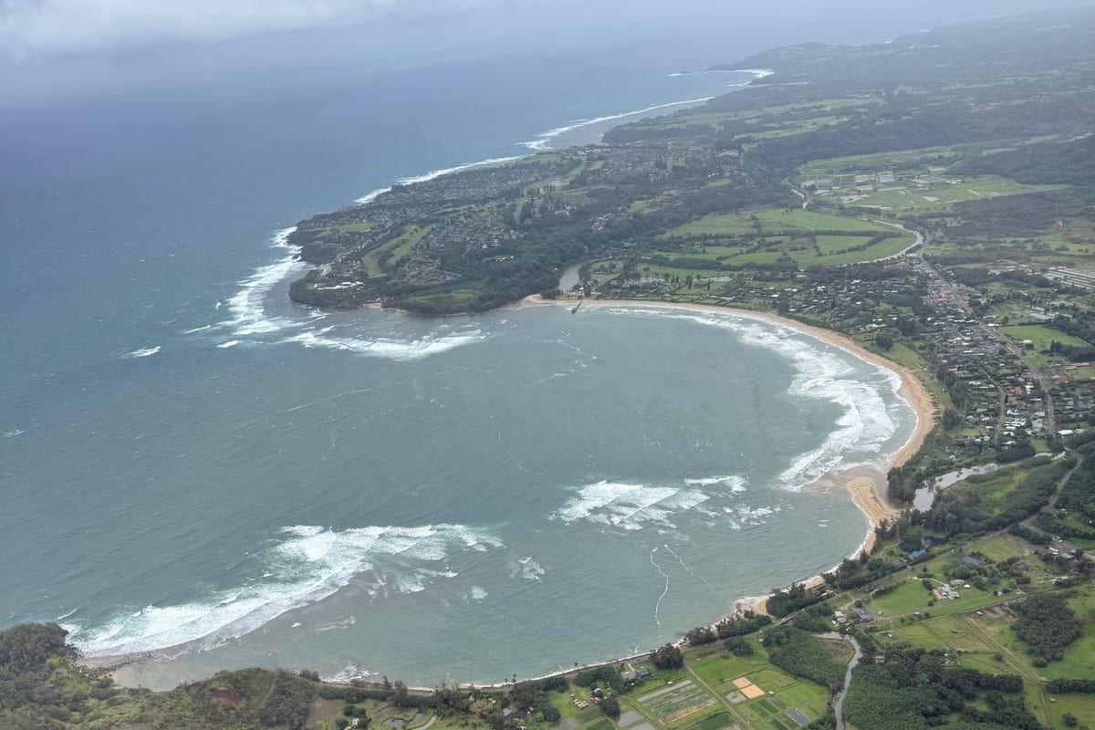 Hanalei Bay and its taro fields from the air